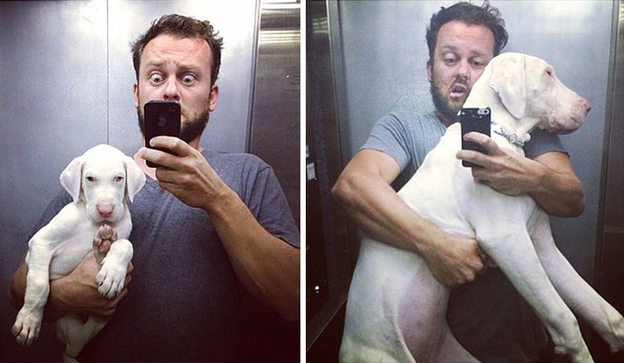 Csodálatos videó egy megmentett kiskutya növekedéséről