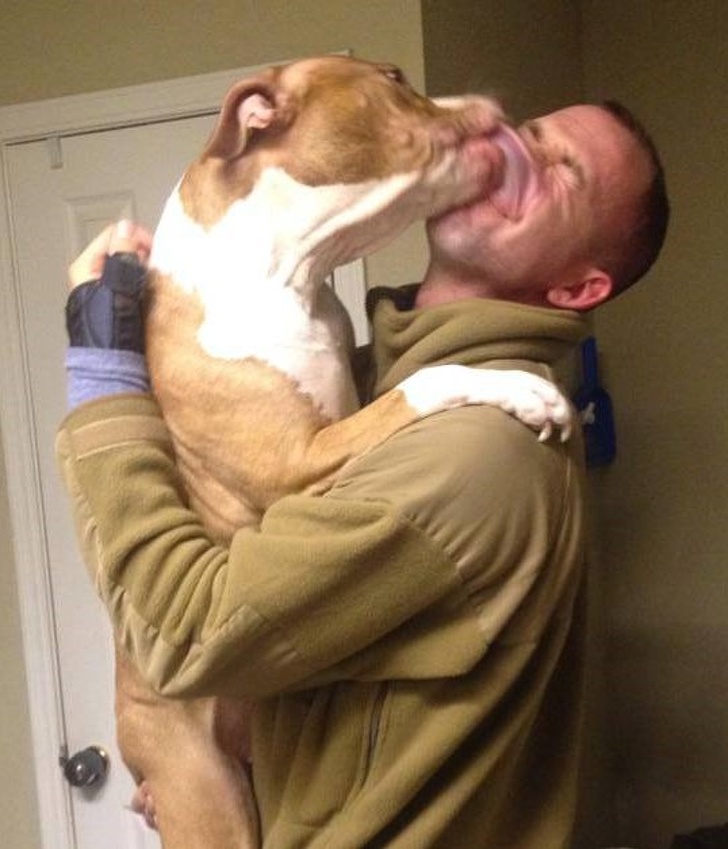 a kutyák szeretetből készültek