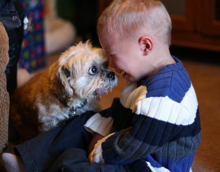 a kutyák szeretetből készültek