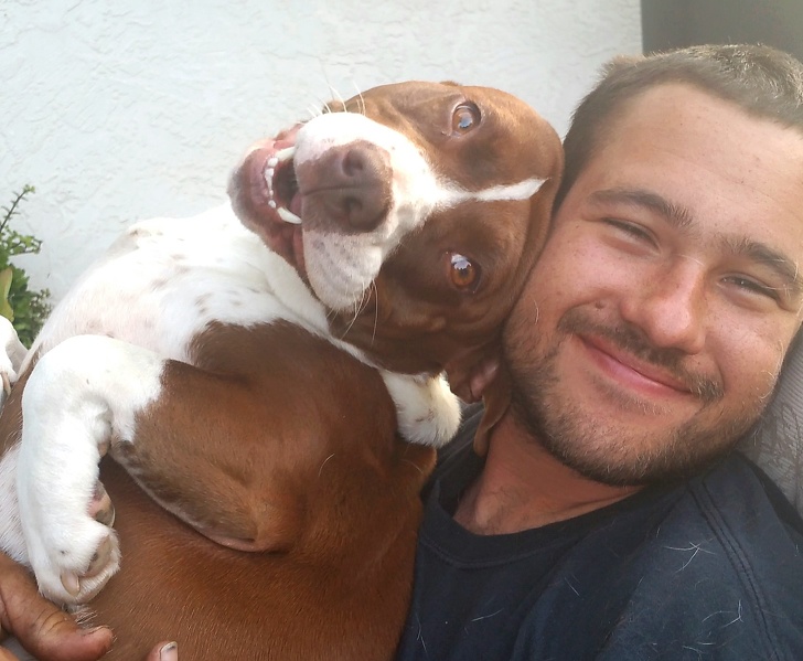 kutya elvesztése miért olyan, mintha egy szeretted veszítenéd el