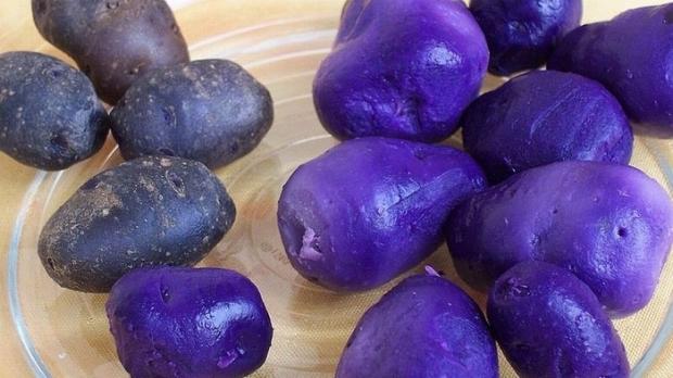 Miért egészséges a lila krumpli? Ha megtudod, te is minden nap fogyasztani fogod!