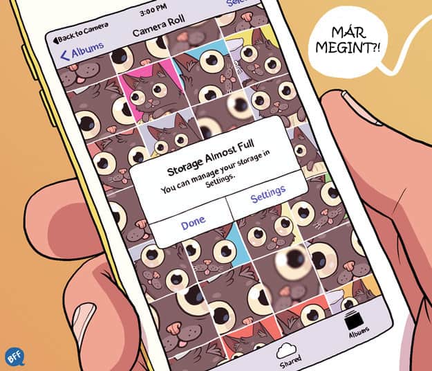 67 8 ok, amiért nem érdemes macskát tartani (és egy, amiért feltétlenül érdemes)