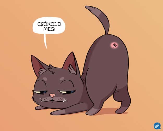 87 8 ok, amiért nem érdemes macskát tartani (és egy, amiért feltétlenül érdemes)