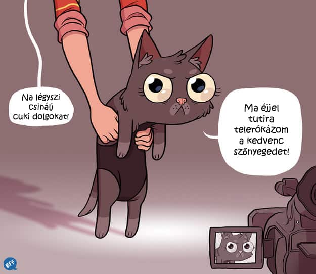 97 8 ok, amiért nem érdemes macskát tartani (és egy, amiért feltétlenül érdemes)