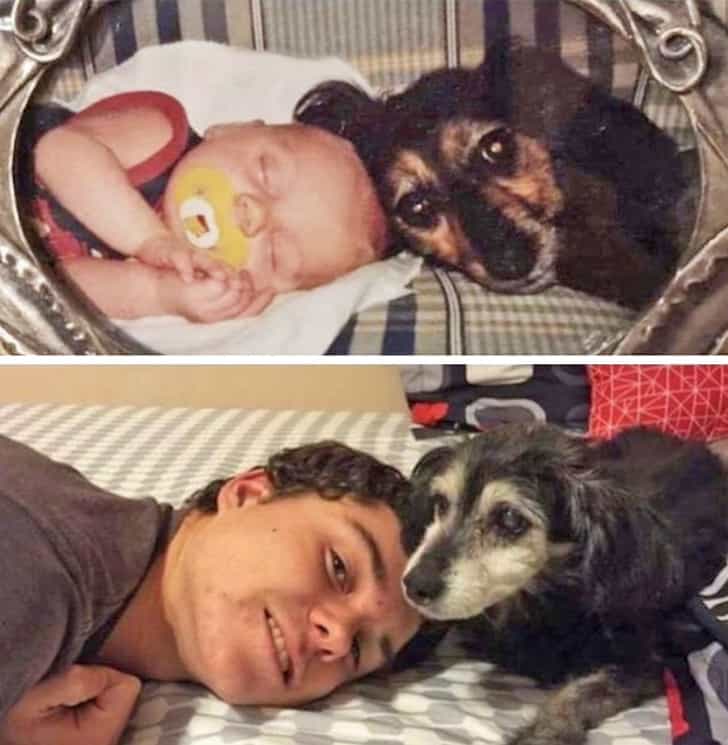 kutya szereti a gazdáját4