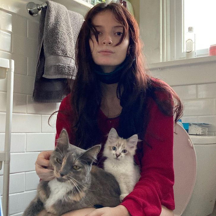 kedvencek nem bírnak a gazdi nélkül lenni4