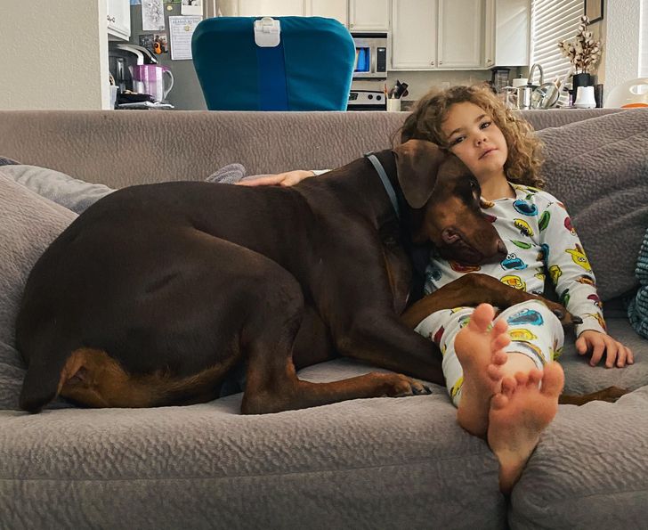 kedvencek nem bírnak a gazdi nélkül lenni6