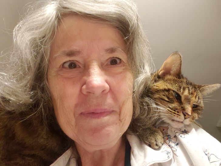 kedvencek nem bírnak a gazdi nélkül lenni7